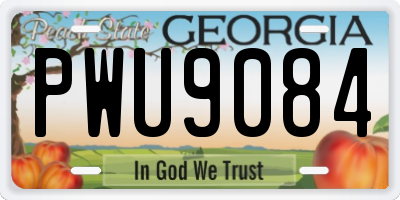 GA license plate PWU9084