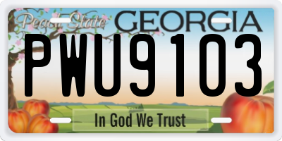 GA license plate PWU9103