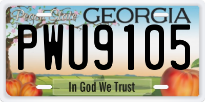 GA license plate PWU9105