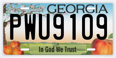 GA license plate PWU9109