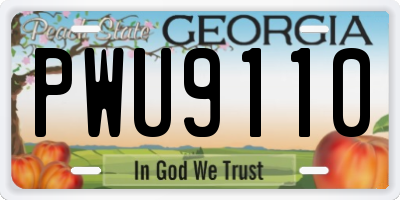 GA license plate PWU9110