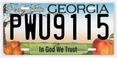 GA license plate PWU9115