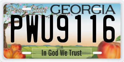 GA license plate PWU9116