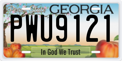 GA license plate PWU9121