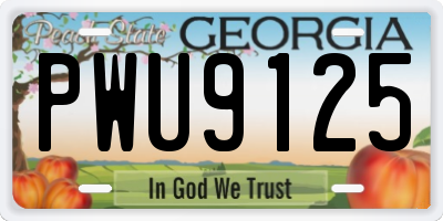 GA license plate PWU9125