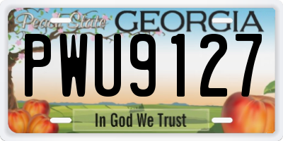GA license plate PWU9127