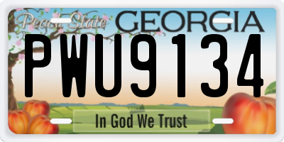 GA license plate PWU9134