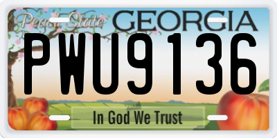 GA license plate PWU9136