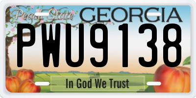 GA license plate PWU9138