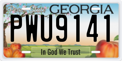 GA license plate PWU9141