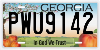 GA license plate PWU9142