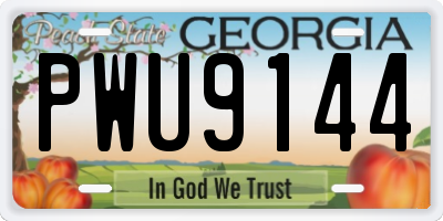 GA license plate PWU9144