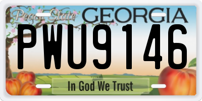 GA license plate PWU9146
