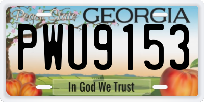 GA license plate PWU9153