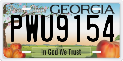 GA license plate PWU9154