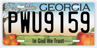 GA license plate PWU9159