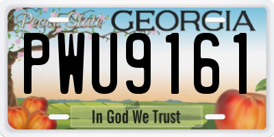 GA license plate PWU9161