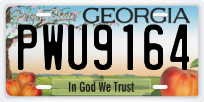 GA license plate PWU9164