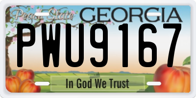 GA license plate PWU9167