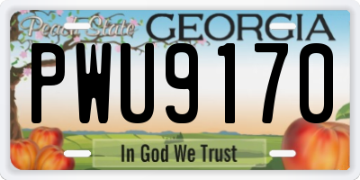 GA license plate PWU9170