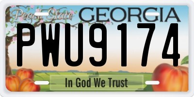 GA license plate PWU9174