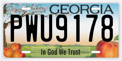 GA license plate PWU9178