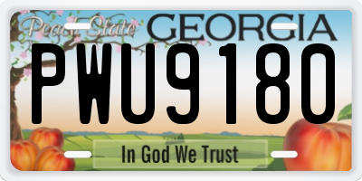 GA license plate PWU9180