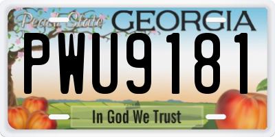 GA license plate PWU9181