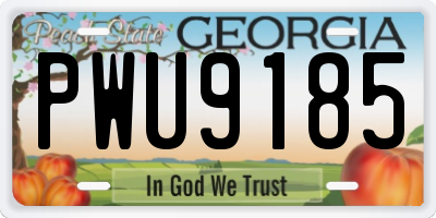 GA license plate PWU9185