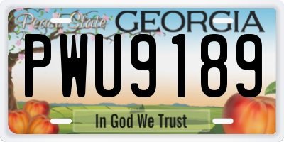 GA license plate PWU9189