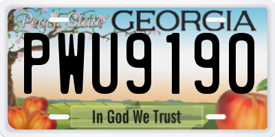 GA license plate PWU9190