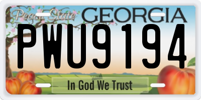 GA license plate PWU9194