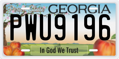GA license plate PWU9196