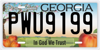 GA license plate PWU9199