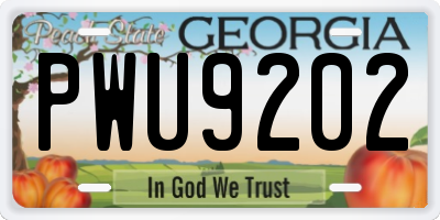 GA license plate PWU9202