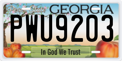 GA license plate PWU9203