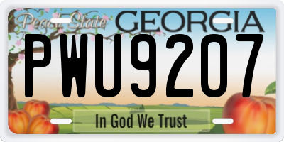 GA license plate PWU9207