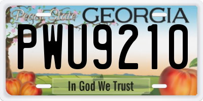 GA license plate PWU9210