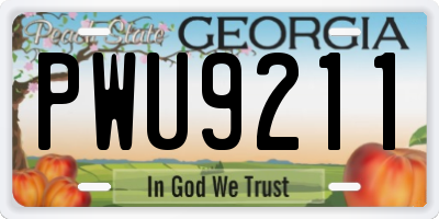 GA license plate PWU9211