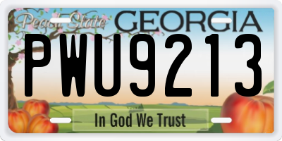 GA license plate PWU9213