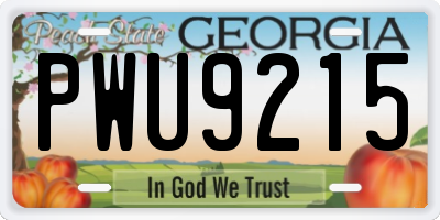GA license plate PWU9215
