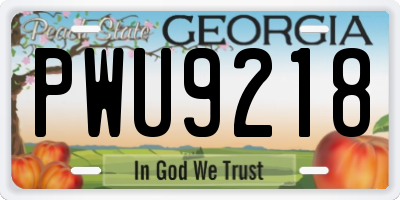 GA license plate PWU9218