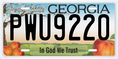 GA license plate PWU9220