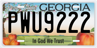GA license plate PWU9222