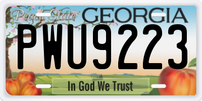 GA license plate PWU9223