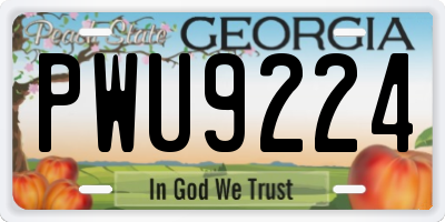 GA license plate PWU9224