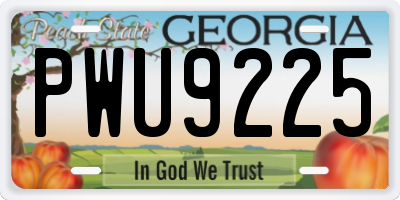 GA license plate PWU9225