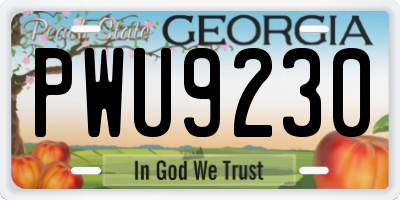 GA license plate PWU9230