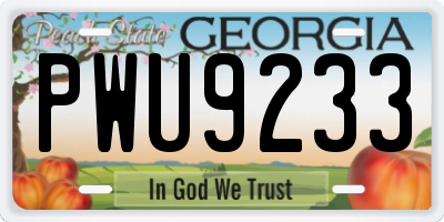 GA license plate PWU9233