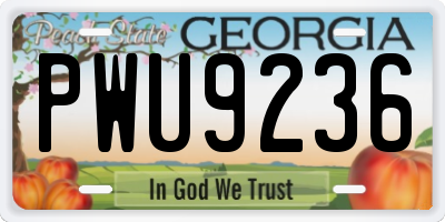 GA license plate PWU9236